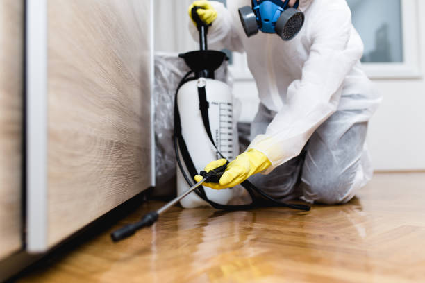 Best Insect Control  in Greenwich, OH