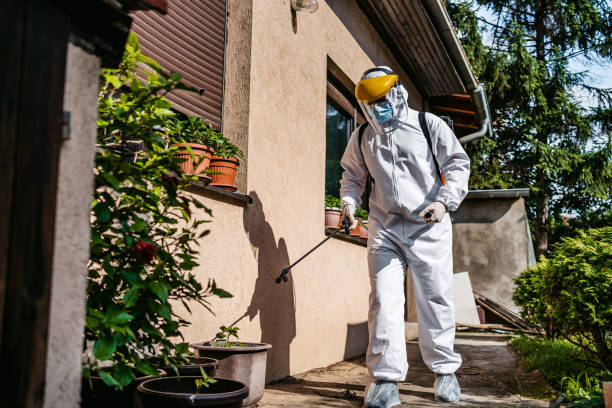 Best Mosquito Control Services  in Greenwich, OH