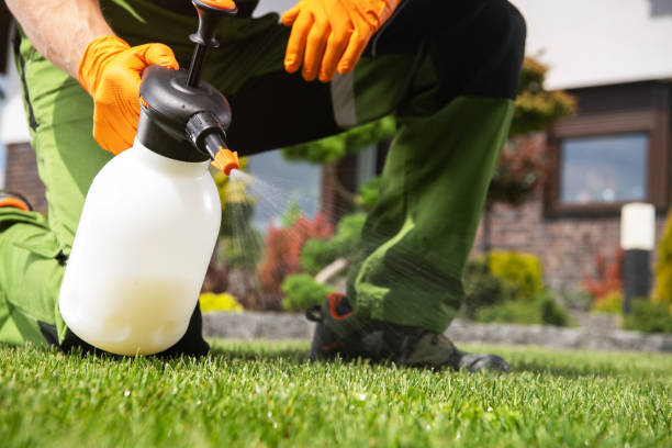 Best Affordable Pest Control Services  in Greenwich, OH