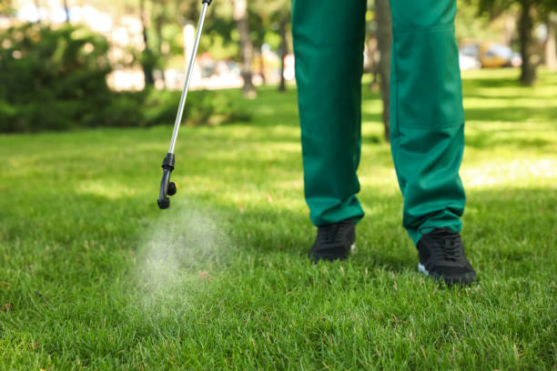 Best Wasp Removal Services  in Greenwich, OH