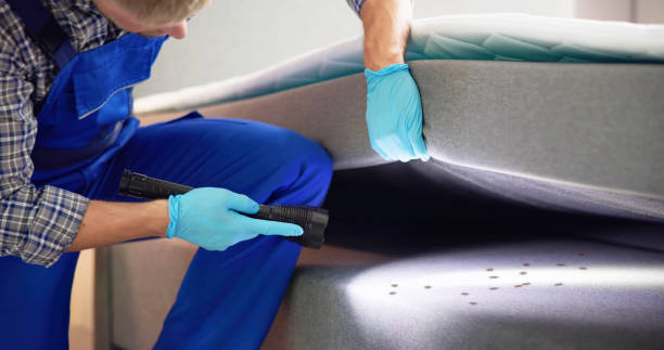 Best Pest Removal Services  in Greenwich, OH