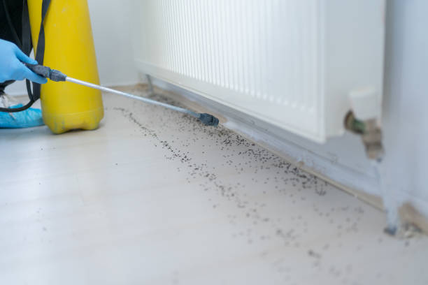  Greenwich, OH Pest Control Pros