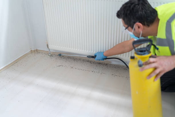 Best Pest Control for Businesses  in Greenwich, OH