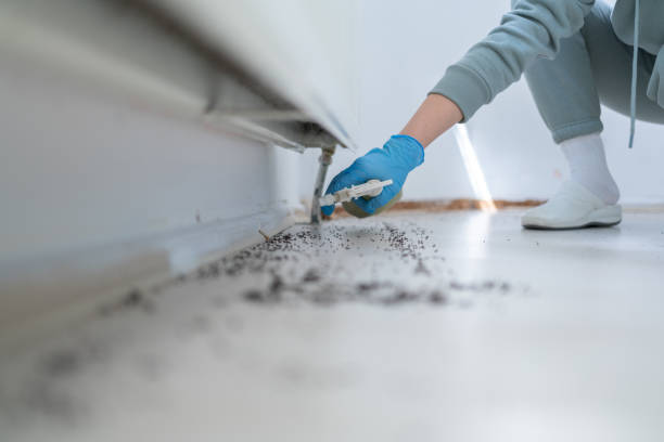 Best Mosquito Control Services  in Greenwich, OH