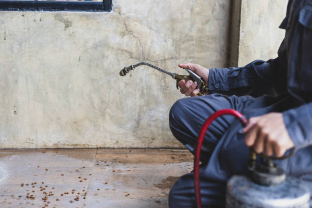 Best Residential Pest Control  in Greenwich, OH