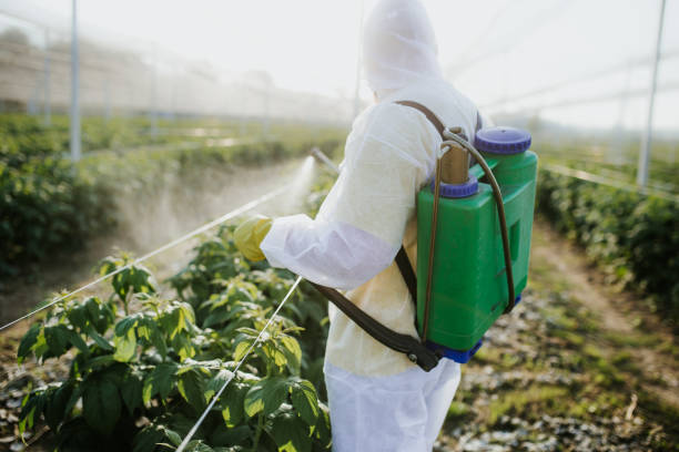 Best Emergency Pest Control  in Greenwich, OH